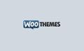 WooThemes Small